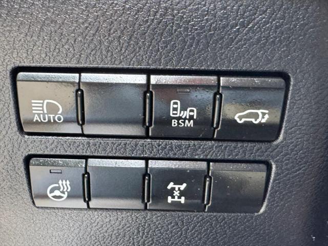 2019 Lexus NX 300 F SPORT