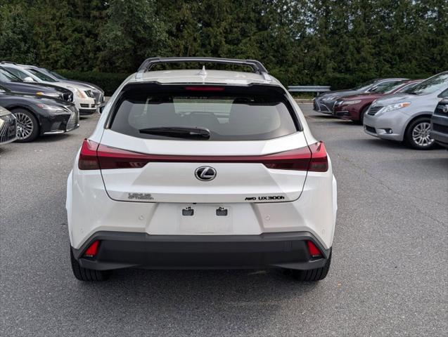 2025 Lexus UX 300h Premium