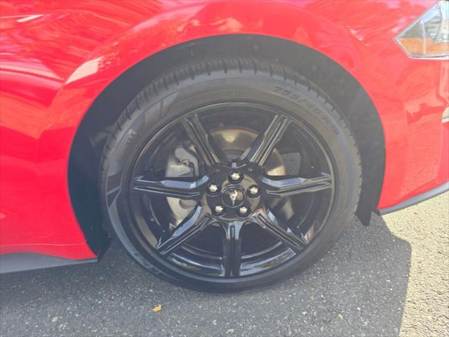 2019 Ford Mustang EcoBoost Premium 2019 Ford Mustang EcoBoost Premium