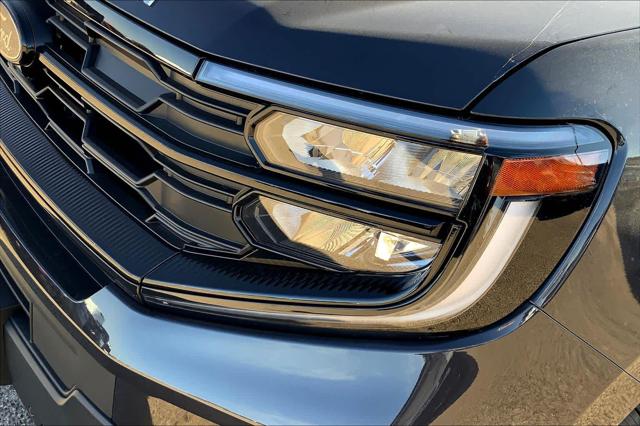 New 2025 Ford Expedition For Sale in Lubbock, TX