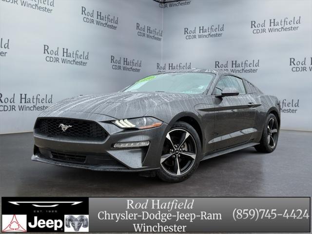 2019 Ford Mustang EcoBoost 2019 Ford Mustang EcoBoost