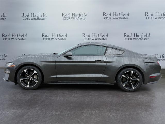 2019 Ford Mustang EcoBoost 2019 Ford Mustang EcoBoost