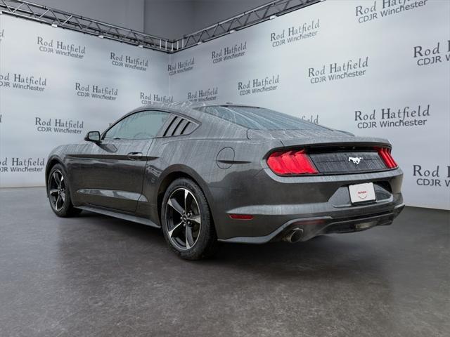 2019 Ford Mustang EcoBoost 2019 Ford Mustang EcoBoost