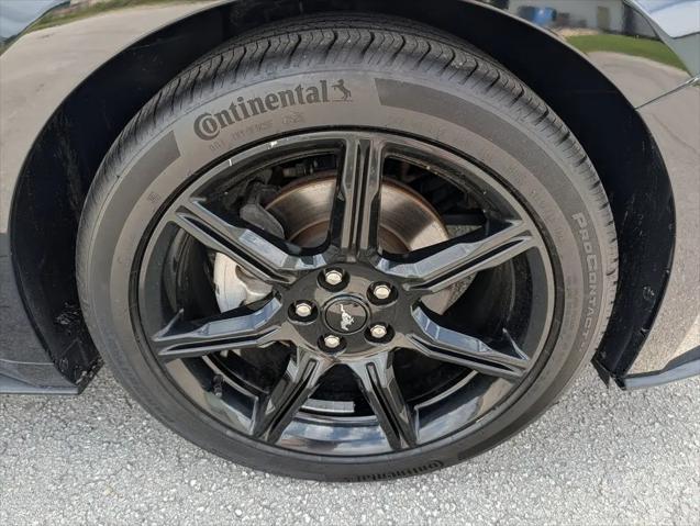 2019 Ford Mustang EcoBoost