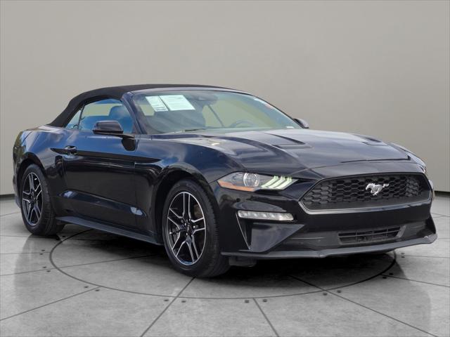 2023 Ford Mustang EcoBoost Premium Convertible 2023 Ford Mustang EcoBoost Premium Convertible