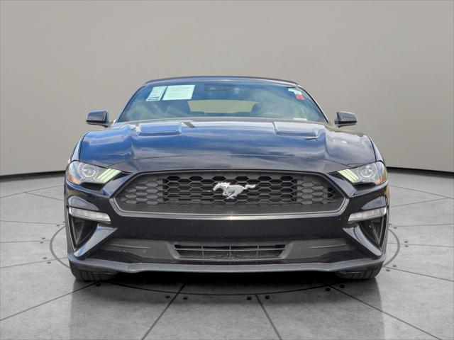 2023 Ford Mustang EcoBoost Premium Convertible 2023 Ford Mustang EcoBoost Premium Convertible