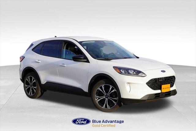 2022 Ford Escape SEL 2022 Ford Escape SEL