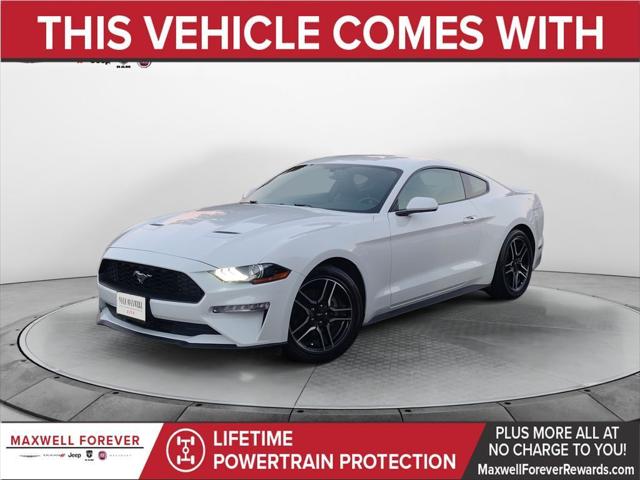 2019 Ford Mustang EcoBoost 2019 Ford Mustang EcoBoost