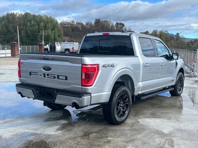 2023 Ford F-150 XLT 2023 Ford F-150 XLT