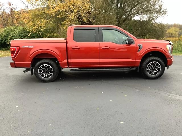 2023 Ford F-150 XLT 2023 Ford F-150 XLT