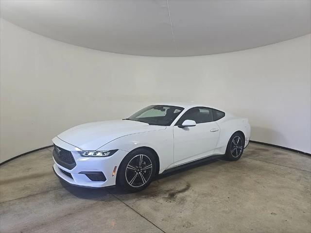 2024 Ford Mustang EcoBoost Fastback 2024 Ford Mustang EcoBoost Fastback