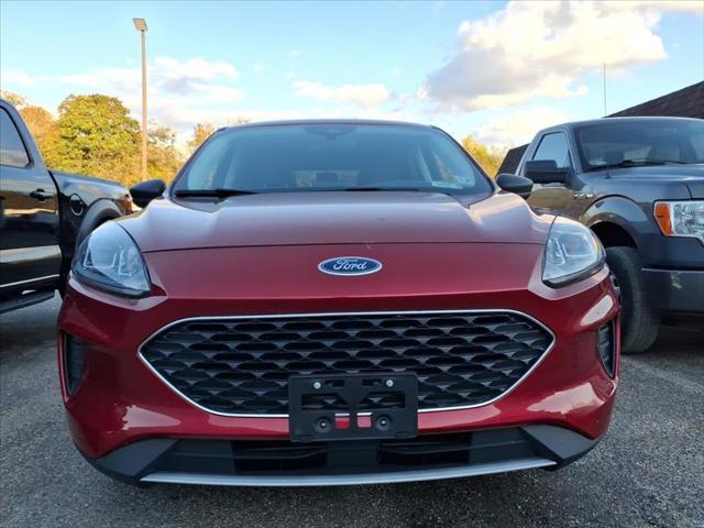 2022 Ford Escape SE 2022 Ford Escape SE