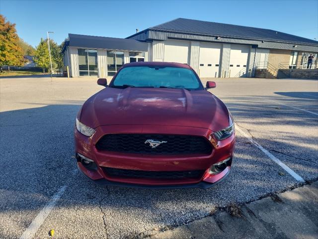 2015 Ford Mustang EcoBoost 2015 Ford Mustang EcoBoost