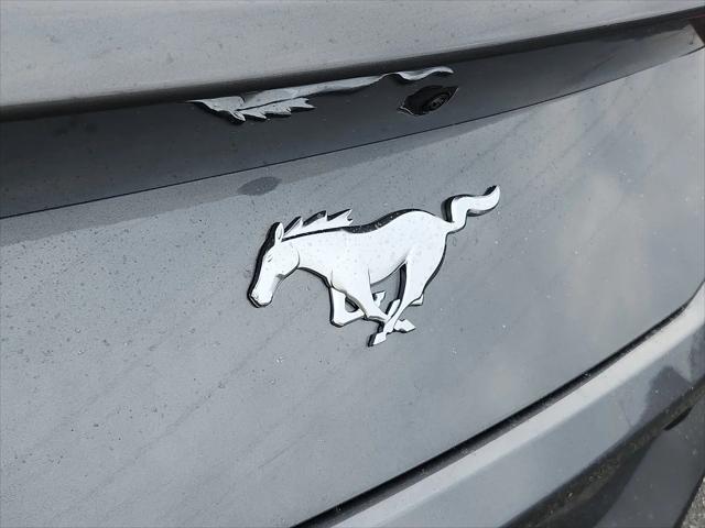 2026 Ford Mustang EcoBoost Fastback