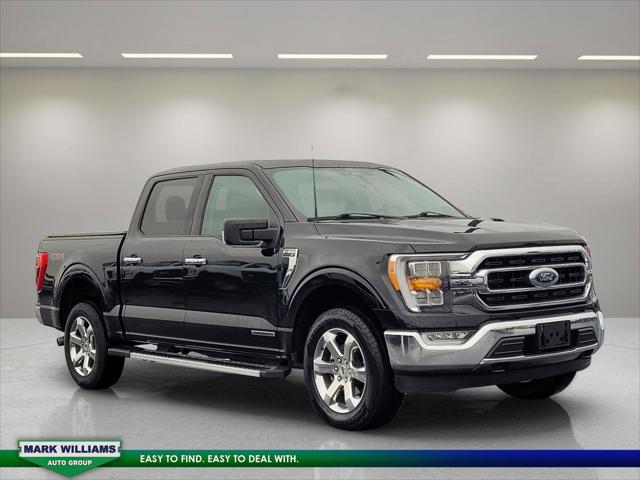 2023 Ford F-150 XLT 2023 Ford F-150 XLT