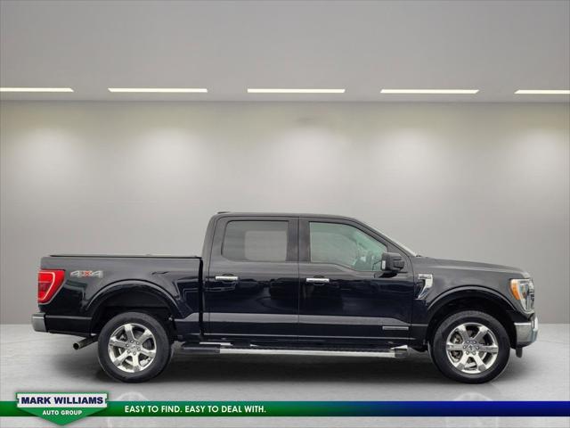 2023 Ford F-150 XLT 2023 Ford F-150 XLT