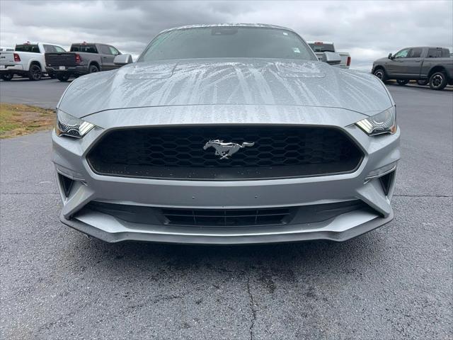 2023 Ford Mustang EcoBoost Fastback 2023 Ford Mustang EcoBoost Fastback