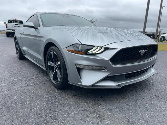 2023 Ford Mustang EcoBoost Fastback 2023 Ford Mustang EcoBoost Fastback