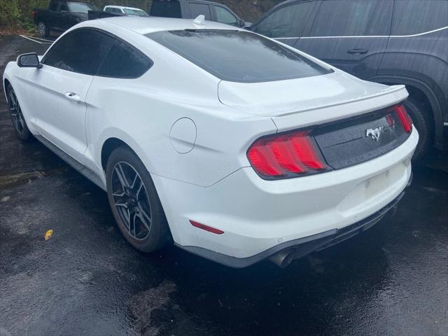 2020 Ford Mustang EcoBoost Fastback 2020 Ford Mustang EcoBoost Fastback