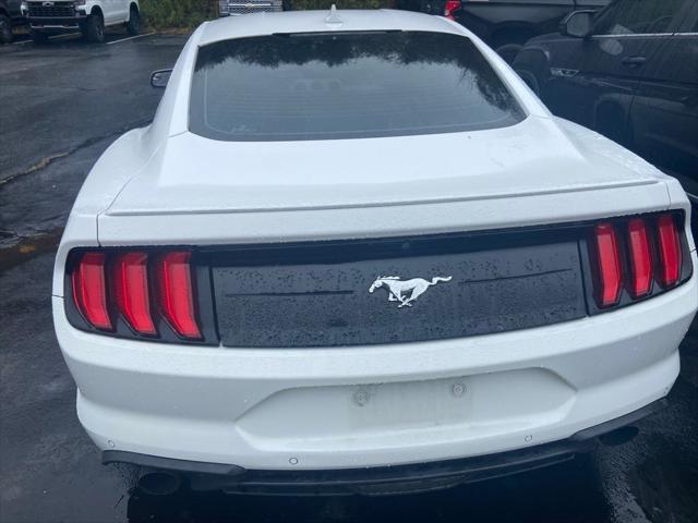 2020 Ford Mustang EcoBoost Fastback 2020 Ford Mustang EcoBoost Fastback