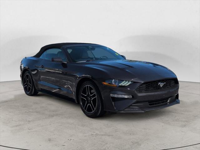 2023 Ford Mustang EcoBoost Premium Convertible 2023 Ford Mustang EcoBoost Premium Convertible