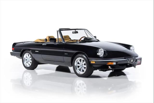 1988 Alfa Romeo Spider Graduate for sale in Farmingdale, NY