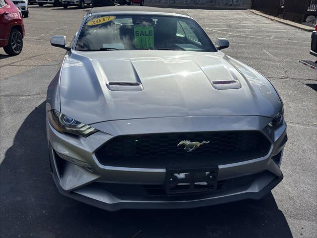 2022 Ford Mustang EcoBoost 2022 Ford Mustang EcoBoost