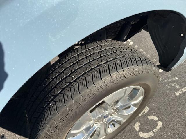 2023 Ford F-150 Platinum 2023 Ford F-150 Platinum