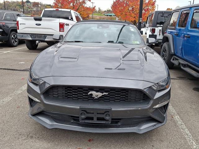 2019 Ford Mustang EcoBoost Premium 2019 Ford Mustang EcoBoost Premium