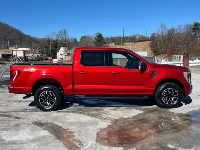 2023 Ford F-150 XLT 2023 Ford F-150 XLT