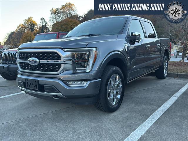 2023 Ford F-150 Platinum 2023 Ford F-150 Platinum
