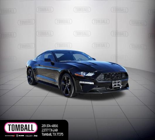 2021 Ford Mustang EcoBoost Fastback 2021 Ford Mustang EcoBoost Fastback