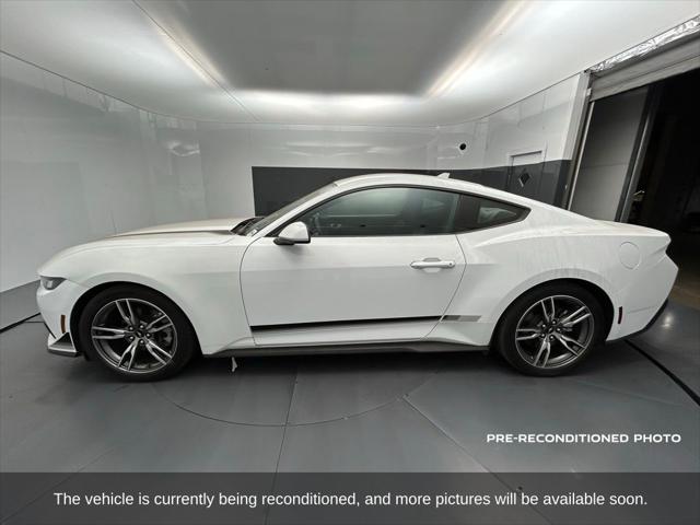 2024 Ford Mustang EcoBoost Fastback 2024 Ford Mustang EcoBoost Fastback