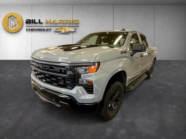 2024 Chevrolet Silverado 1500 4WD Crew Cab Short Bed Custom Trail Boss 2024 Chevrolet Silverado 1500 4WD Crew Cab Short Bed Custom Trail Boss