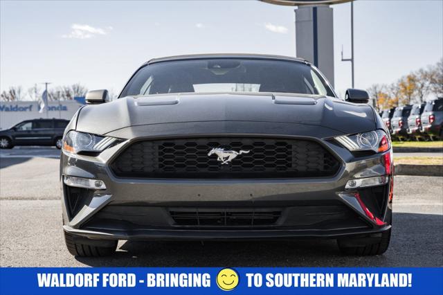 2019 Ford Mustang EcoBoost Premium 2019 Ford Mustang EcoBoost Premium