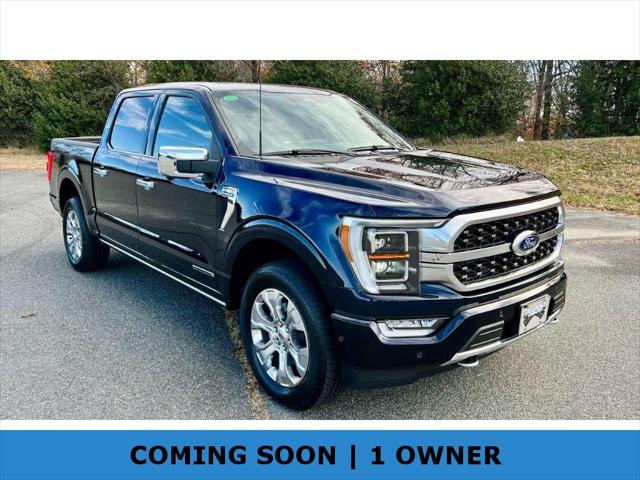 2023 Ford F-150 Platinum 2023 Ford F-150 Platinum