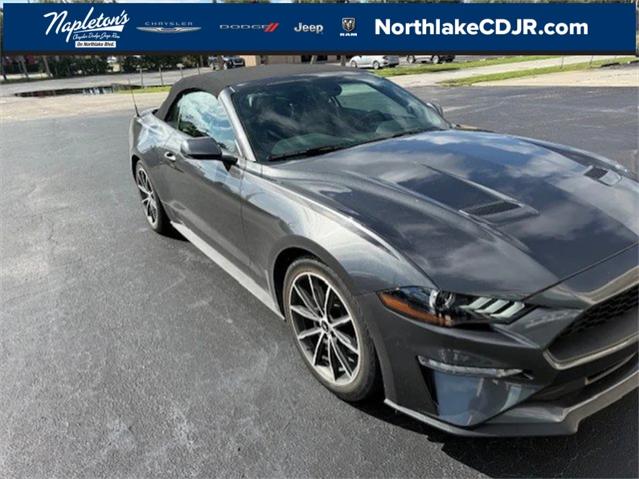 2019 Ford Mustang EcoBoost Premium 2019 Ford Mustang EcoBoost Premium