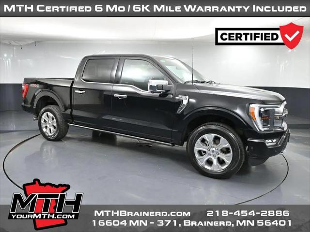 2023 Ford F-150 Platinum for sale in Brainerd, MN