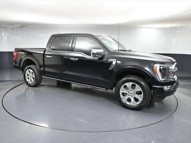 2023 Ford F-150 Platinum for sale in Brainerd, MN