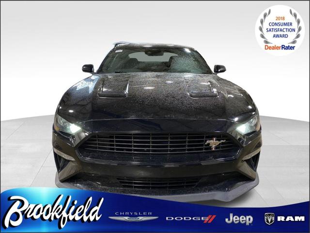 2022 Ford Mustang EcoBoost 2022 Ford Mustang EcoBoost