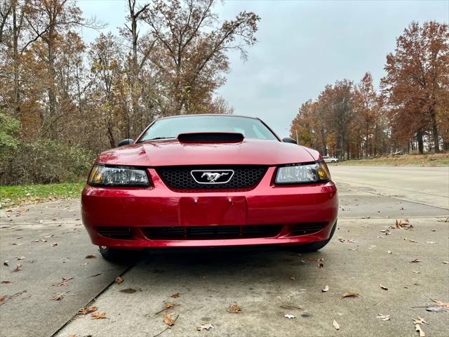 2003 Ford Mustang Base 2003 Ford Mustang Base