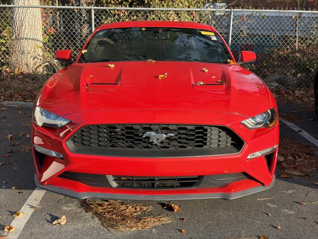 2019 Ford Mustang EcoBoost Premium 2019 Ford Mustang EcoBoost Premium