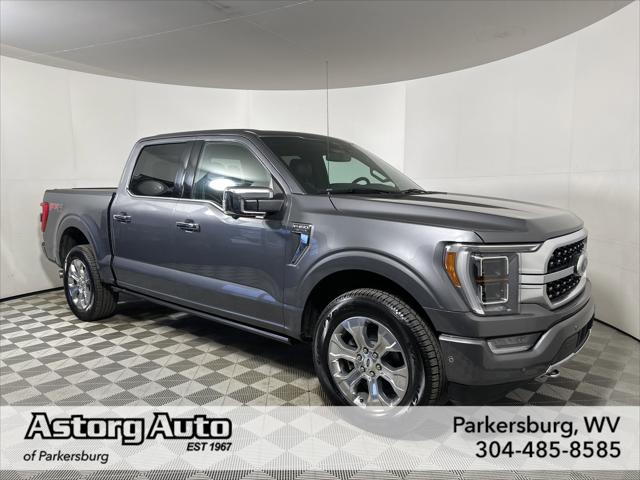 2021 Ford F-150 Platinum 2021 Ford F-150 Platinum