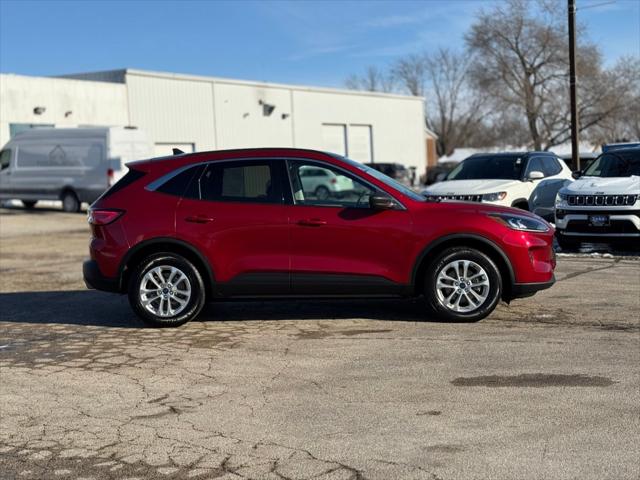 2022 Ford Escape SE 2022 Ford Escape SE