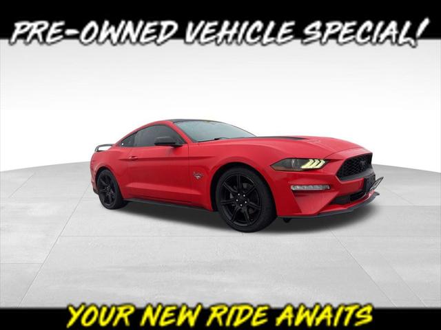 2019 Ford Mustang EcoBoost 2019 Ford Mustang EcoBoost
