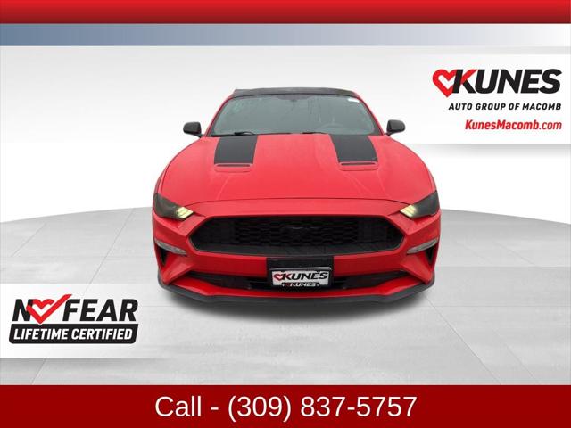 2019 Ford Mustang EcoBoost 2019 Ford Mustang EcoBoost