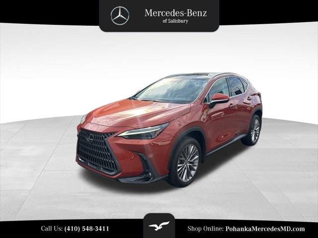 2023 Lexus NX 350 Luxury 2023 Lexus NX 350 Luxury