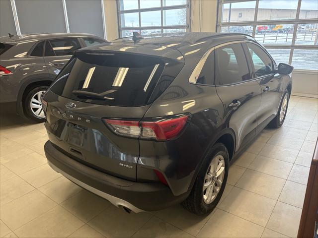 2020 Ford Escape SE 2020 Ford Escape SE