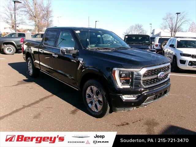 2022 Ford F-150 Platinum