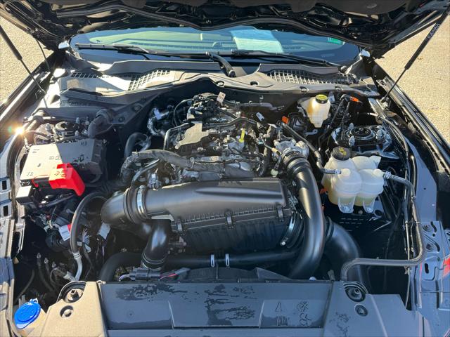 2024 Ford Mustang EcoBoost Fastback 2024 Ford Mustang EcoBoost Fastback